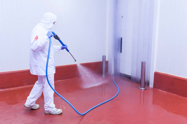 Professional Pressure Washing Services in Altoona, WI